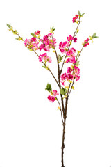 Artificial Pink Blossoms on a Branch