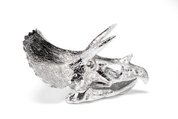 Silver Dinosaur Skull Trinket on a White Background