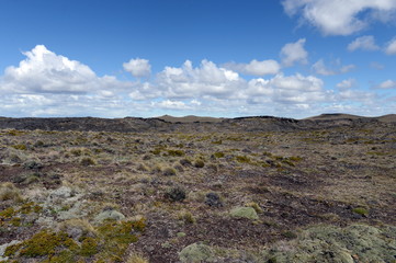 The national Park Pali Aike in the South of Chile.
