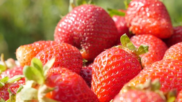 Red strawberry background tasty fruit slow tilting 4K 3840X2160 UltraHD video - Slow tilt over tasty red fruity background 4K 2160p UHD footage 
