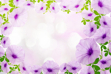 Beautiful Purple flower and leaves frame on nature  background.