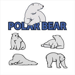 Polar bear vector illustration