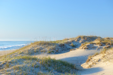 Beach Scene of Sand Dunes in Morning Light