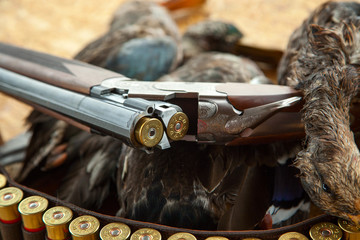 Hunting shotgun shells and a duck - 105984831