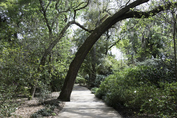 Nature Trail in Florida.