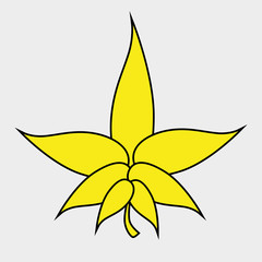 leaf icon  design 
