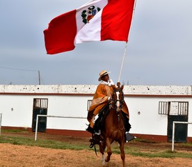 Caballo de paso - Trujillo Perú © veronicaysen
