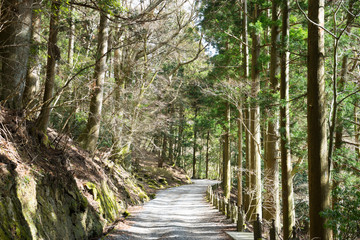 Road to the Amagisan Zuidou