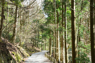 Road to the Amagisan Zuidou