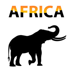 vector Africa