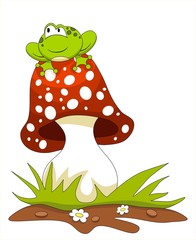 Frog sitting on a mushroom