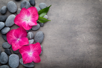 Obraz na płótnie Canvas Spa stones and flowers, on grey background.