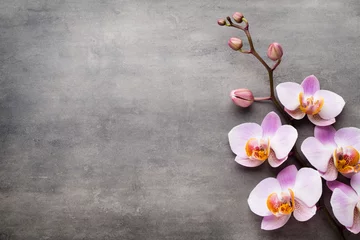Papier Peint photo autocollant Orchidée Objets de thème orchidée spa sur fond gris.