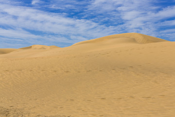Fototapeta na wymiar Maspalomas Duna - Desert in Canary island Gran Canaria