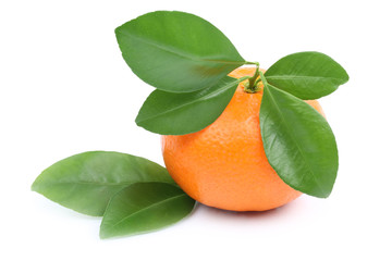 Mandarine Freisteller freigestellt isoliert