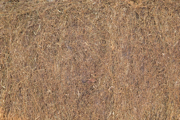 Dried smoking tobacco backgrond