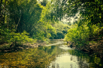  river on the  jungle, Thailand