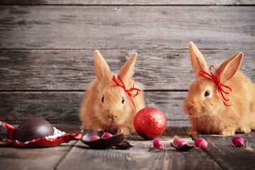 rabbit with chocolate eggs on wooden background