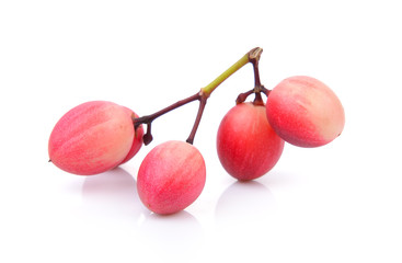 carissa on white background