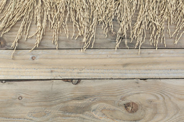 paddy rice on  wood background.