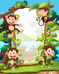 Border design with four monkeys