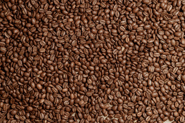 Fresh Brown coffee caffeine bean background