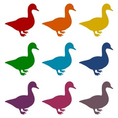 Duck silhouette icons set