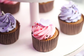 Close up with colourfull different pastry with selective focus o