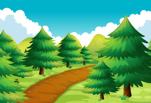 Nature scene with track and pine trees