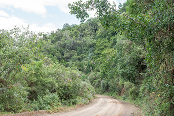 Lush vegetation on the southern side of the Suurberg Pass