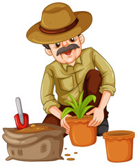 Man planting plant in the pot