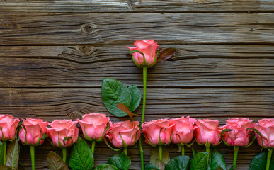 Border of romantic pink fresh roses