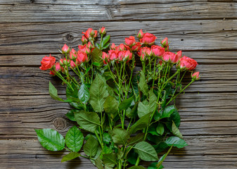 Bouquet of lovely pink roses by blue present