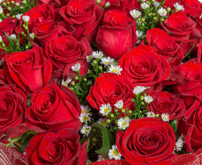 many red roses background pattern