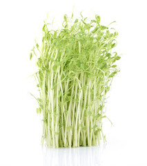 Pea sprout
