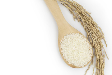 Uncooked Thai rice and paddy rice on white background, Healthy F