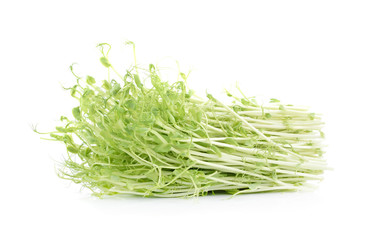 pea sprouts