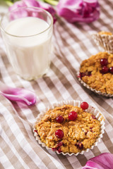 Oat muffins with cranberries and egg liqueur