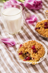 Oat muffins with cranberries and egg liqueur