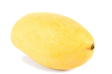 mangoes  on  the  white  ground