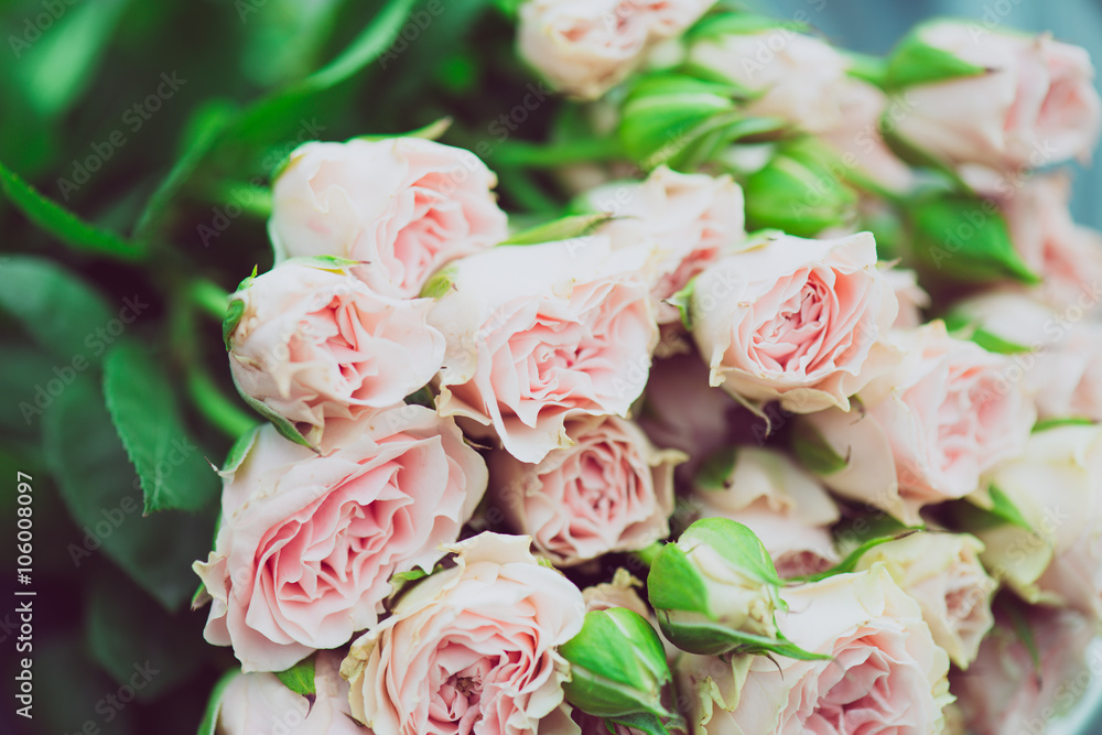 Wall mural wedding bouquet of flowers, close up floral background, mini pink roses