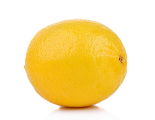 lemons  on  the  white  ground