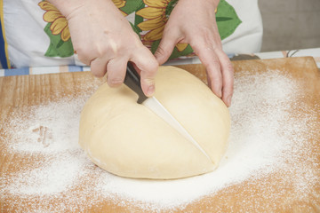 Ball of pizza dough