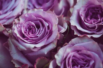 Photo sur Plexiglas Roses Purple rose flower bouquet vintage background, close up of wedding bouquet