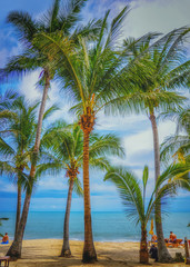 Fototapeta na wymiar Panoramic view of tropical beach with coconut palm trees. Koh Samui, Thailand
