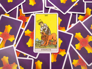 Tarot cards Tarot, the strength  card
