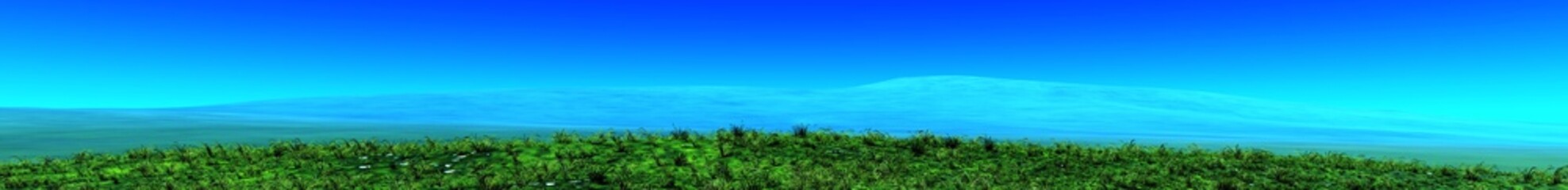 Panorama of grass on the hill, the green hills, the slope in the grass