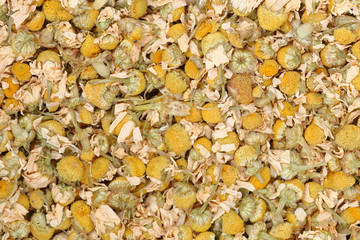 Dry yellow camomile tea texture for pattern