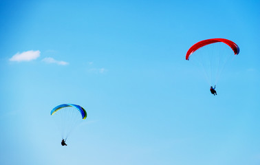 paraglider