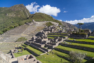 Fototapeta na wymiar Terraces of Machu Picchu sacred lost city of Incas in Peru